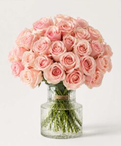 Sweet-Rosa