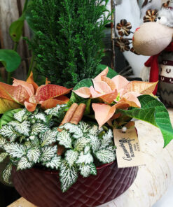 julgrupp i korg julblomma