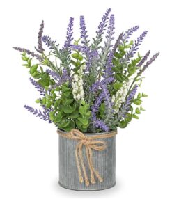 Lavendel