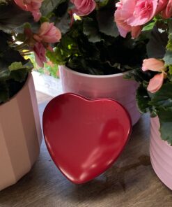 Gelé hjärtan och ros